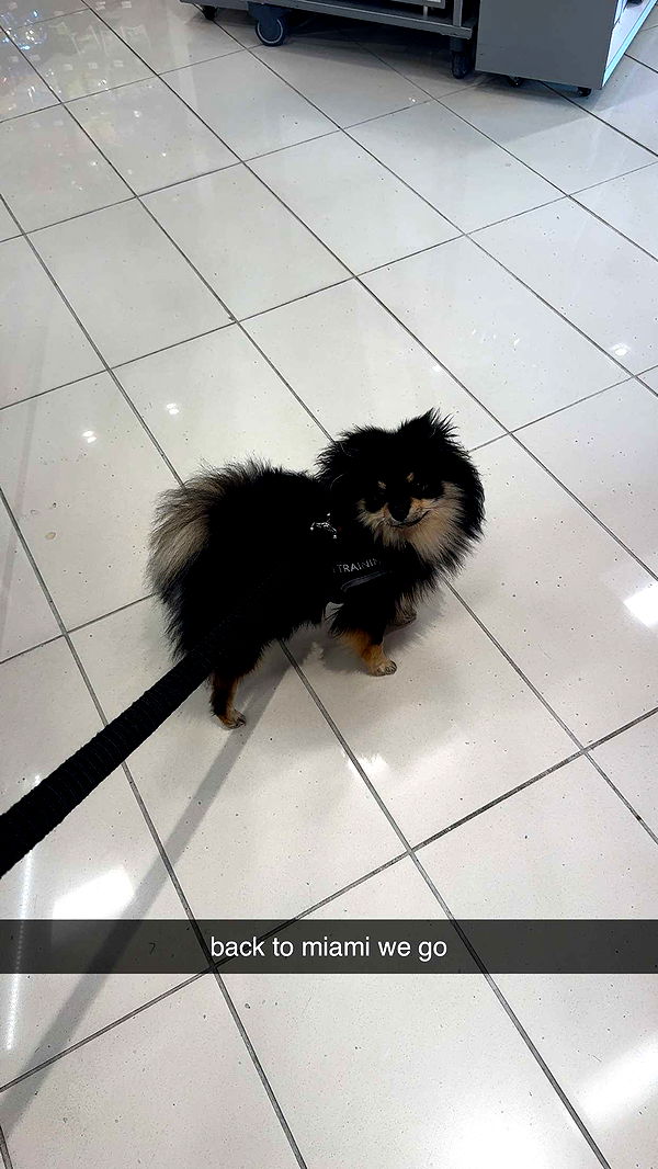 kaygcarlson image ~ Altpins