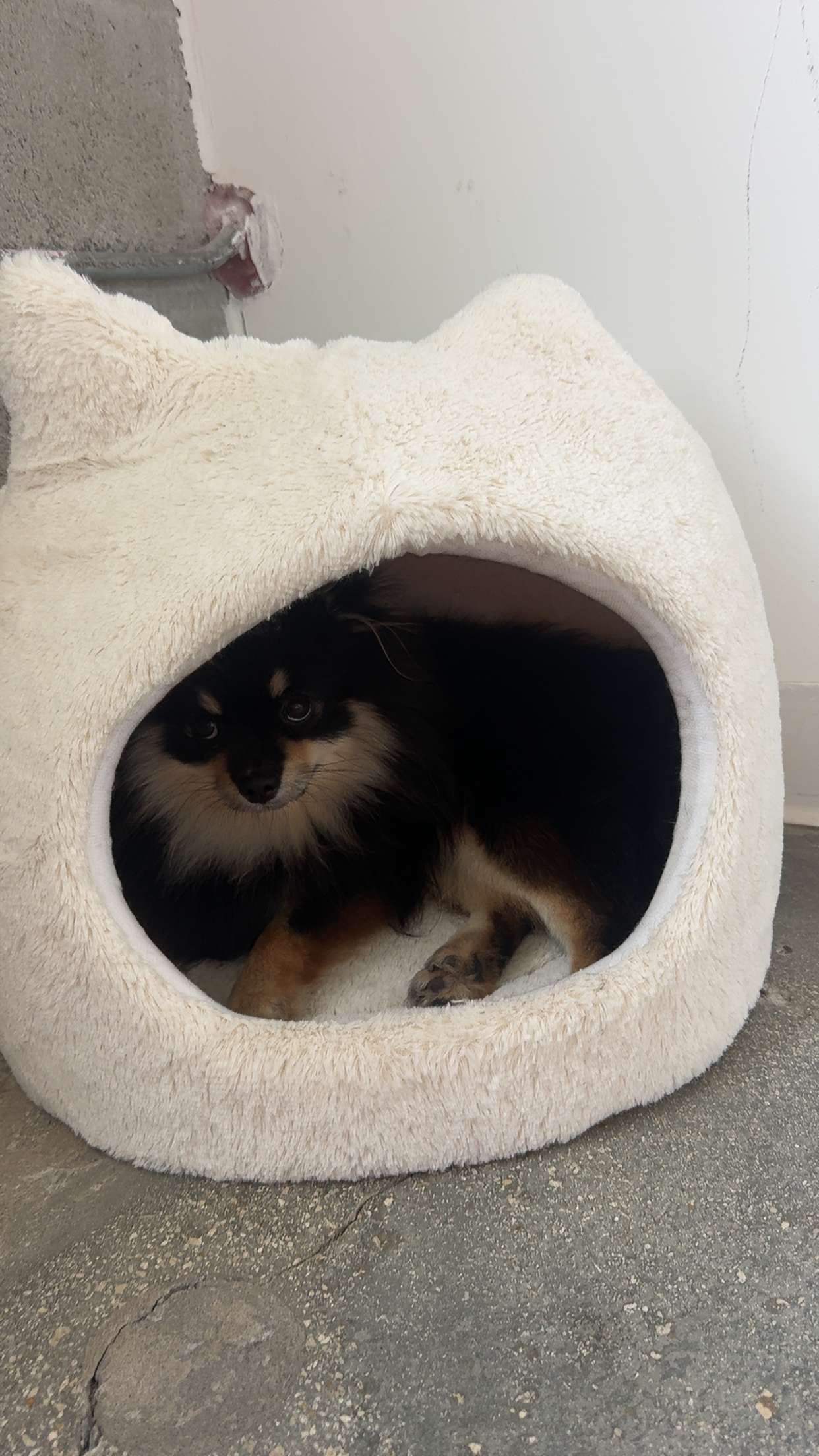 kaygcarlson snapchat image archive image