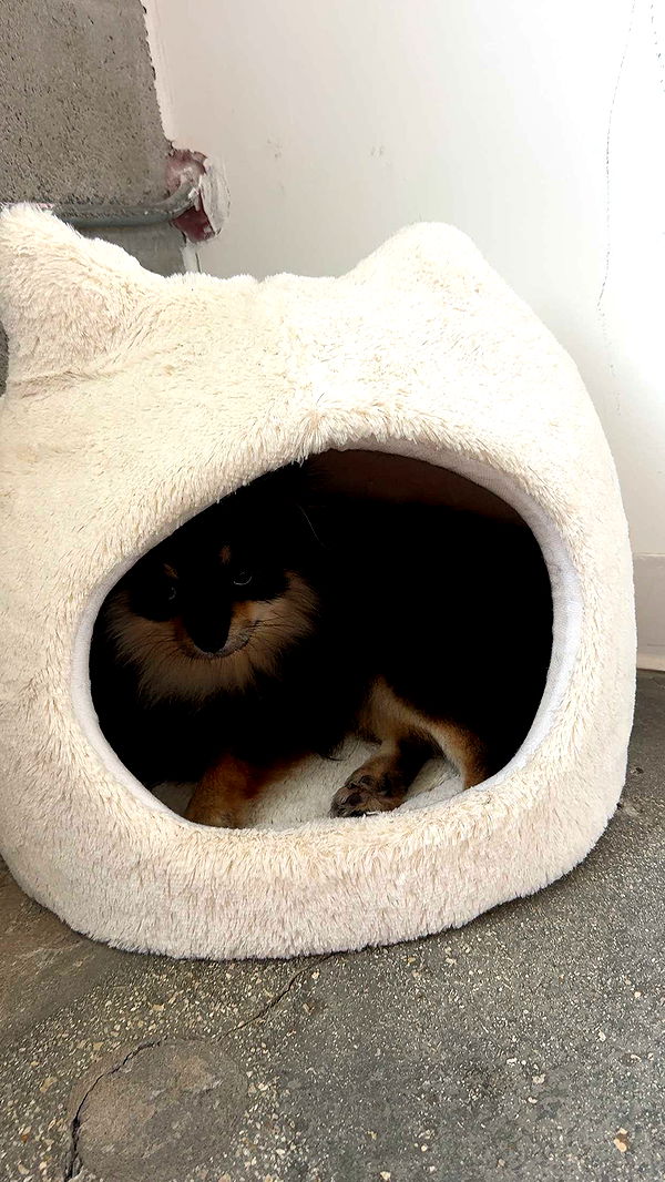 kaygcarlson image ~ Altpins