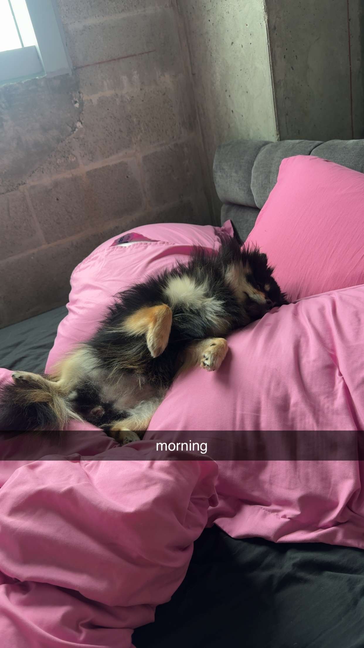 kaygcarlson snapchat image archive image