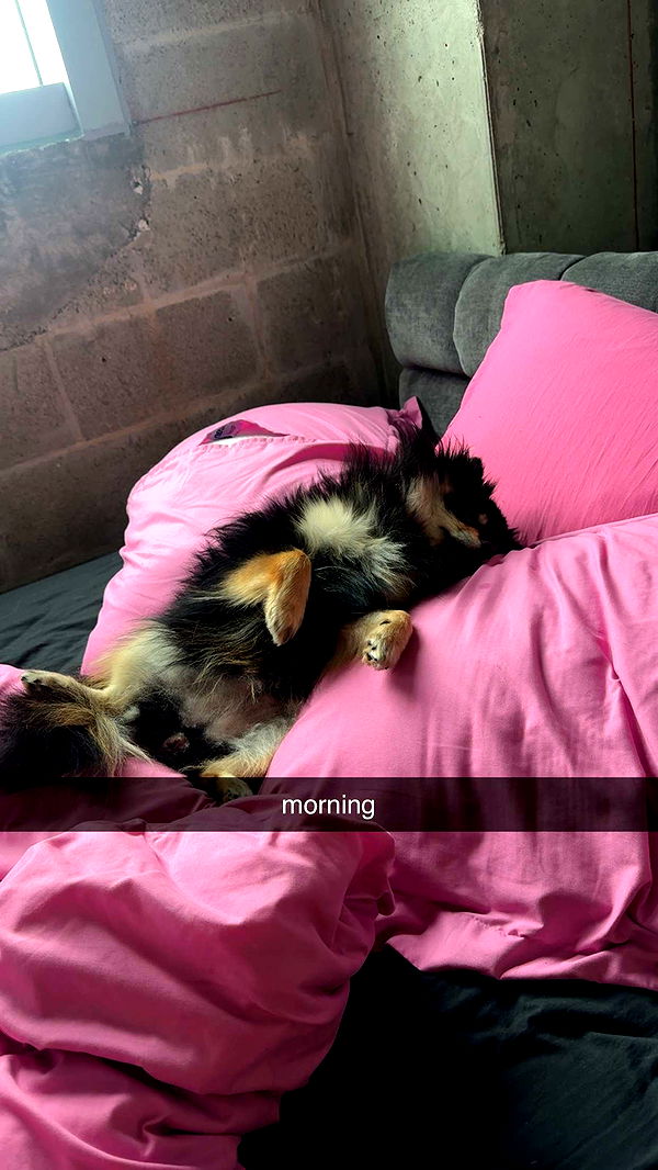 kaygcarlson image ~ Altpins