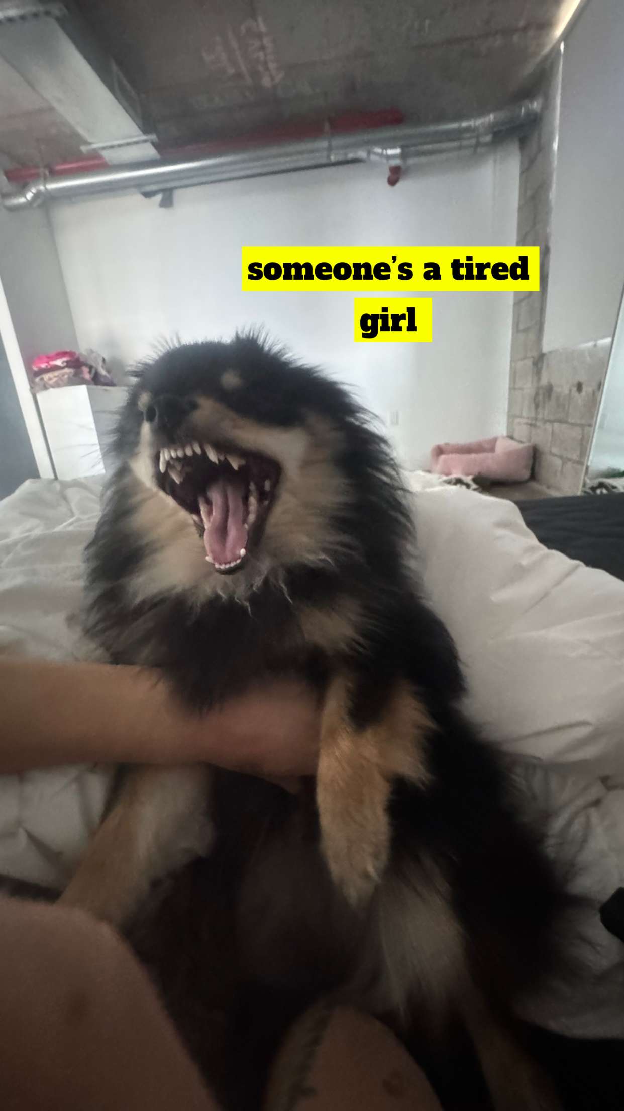 kaygcarlson snapchat image archive image