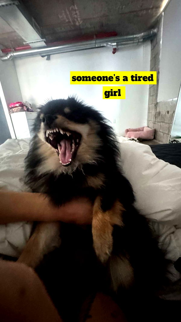 kaygcarlson image ~ Altpins