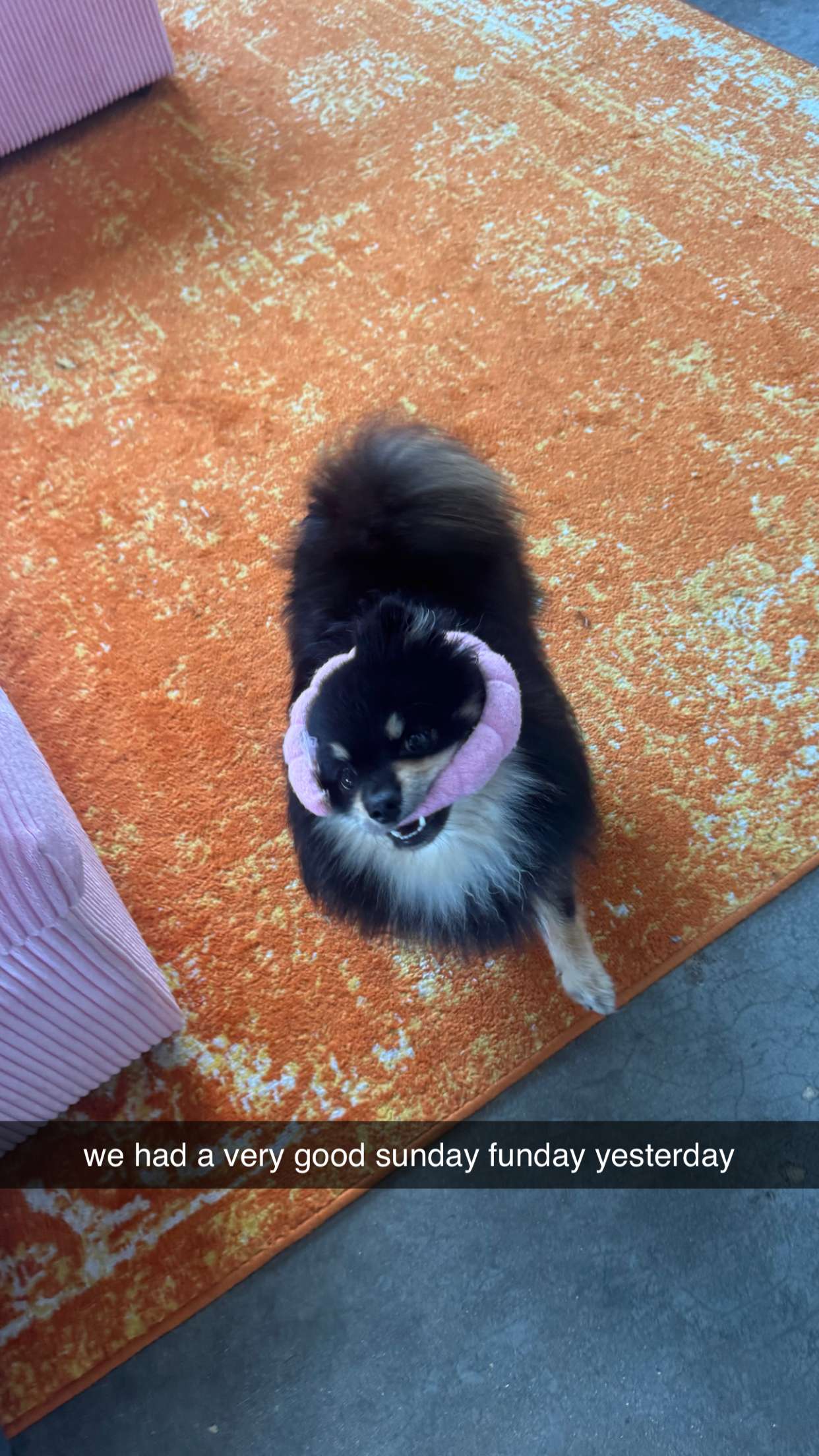 kaygcarlson snapchat image archive image