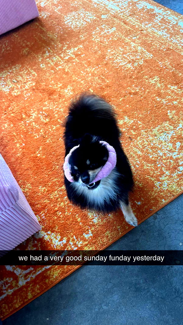 kaygcarlson image ~ Altpins