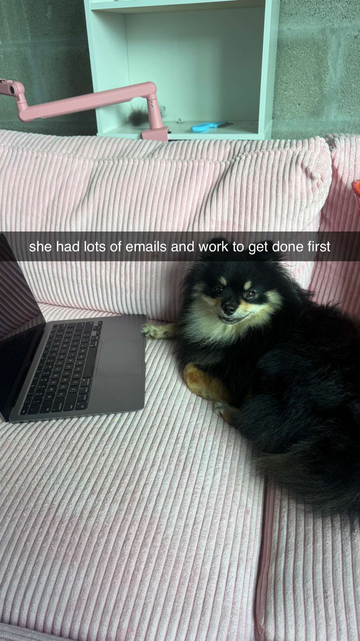 kaygcarlson snapchat image archive image