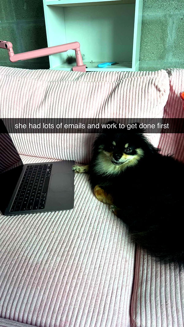 kaygcarlson image ~ Altpins