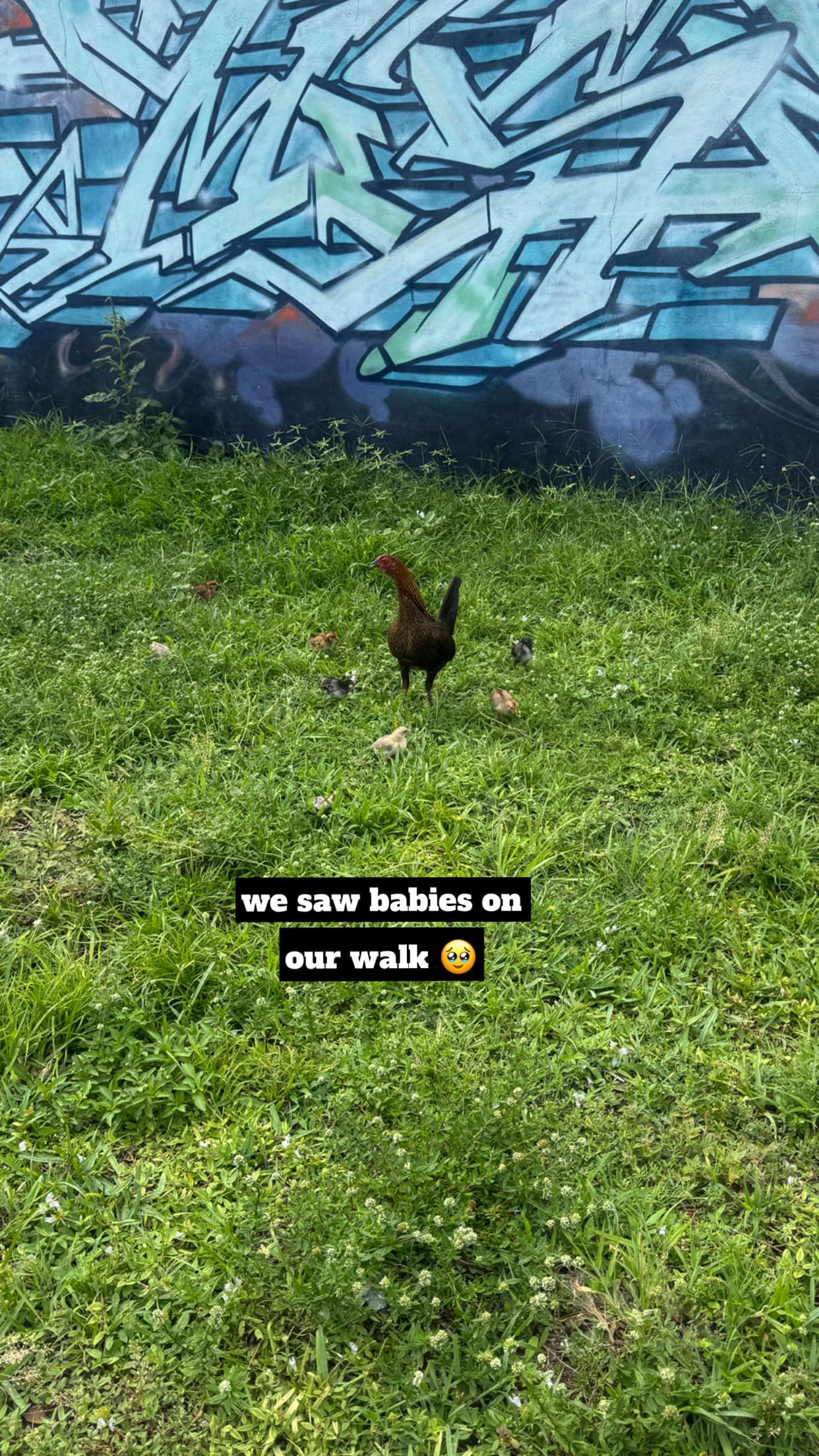 kaygcarlson snapchat image archive image