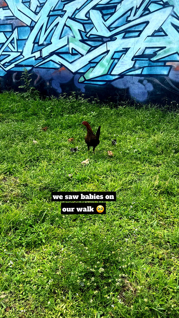 kaygcarlson image ~ Altpins