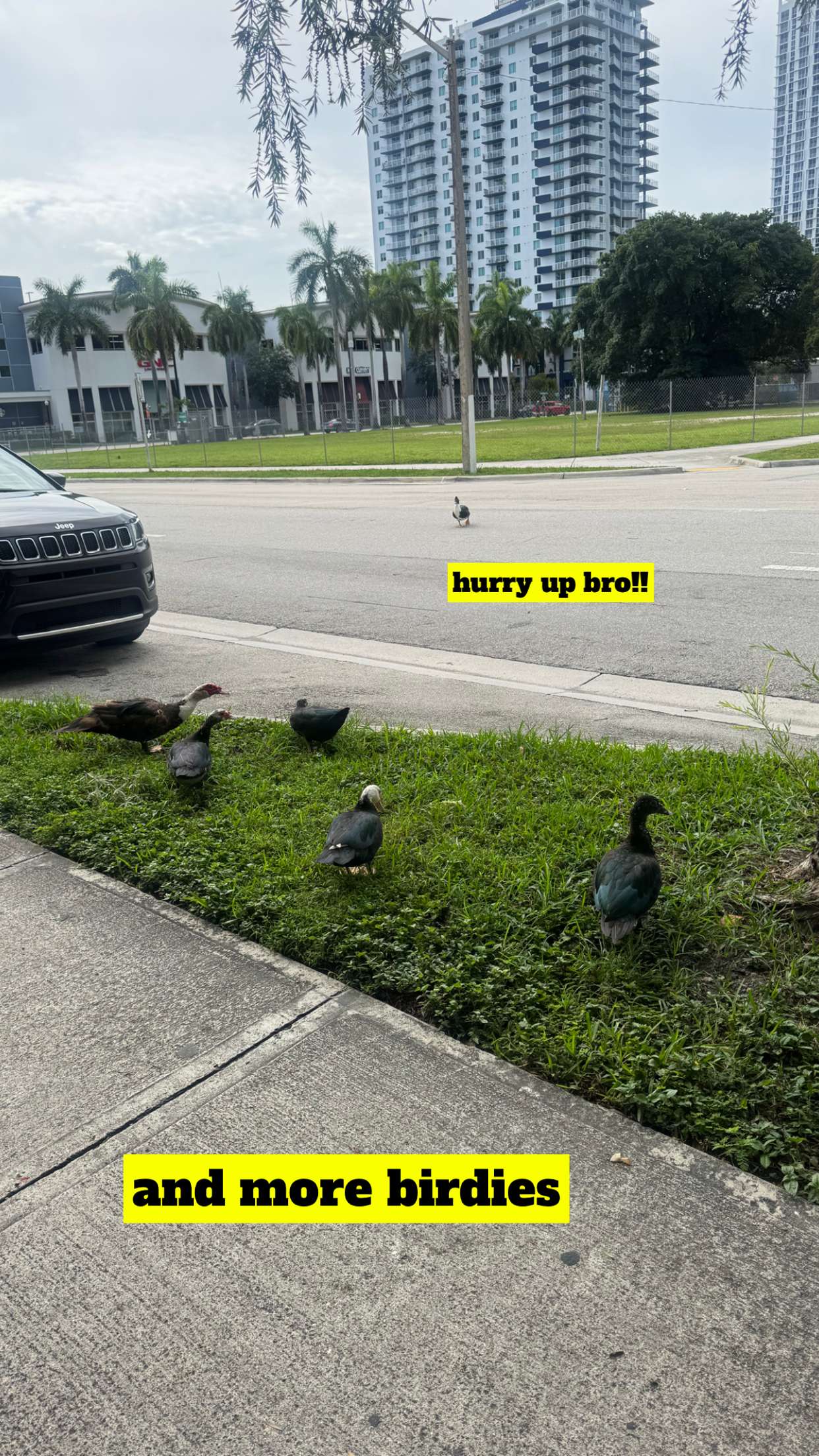 kaygcarlson snapchat image archive image