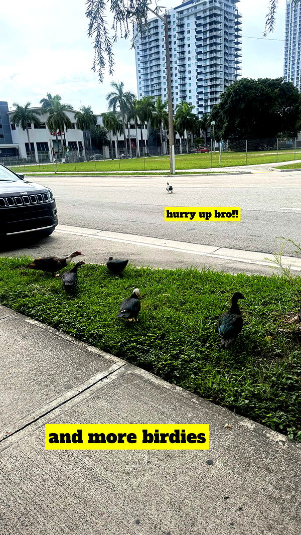 kaygcarlson image ~ Altpins