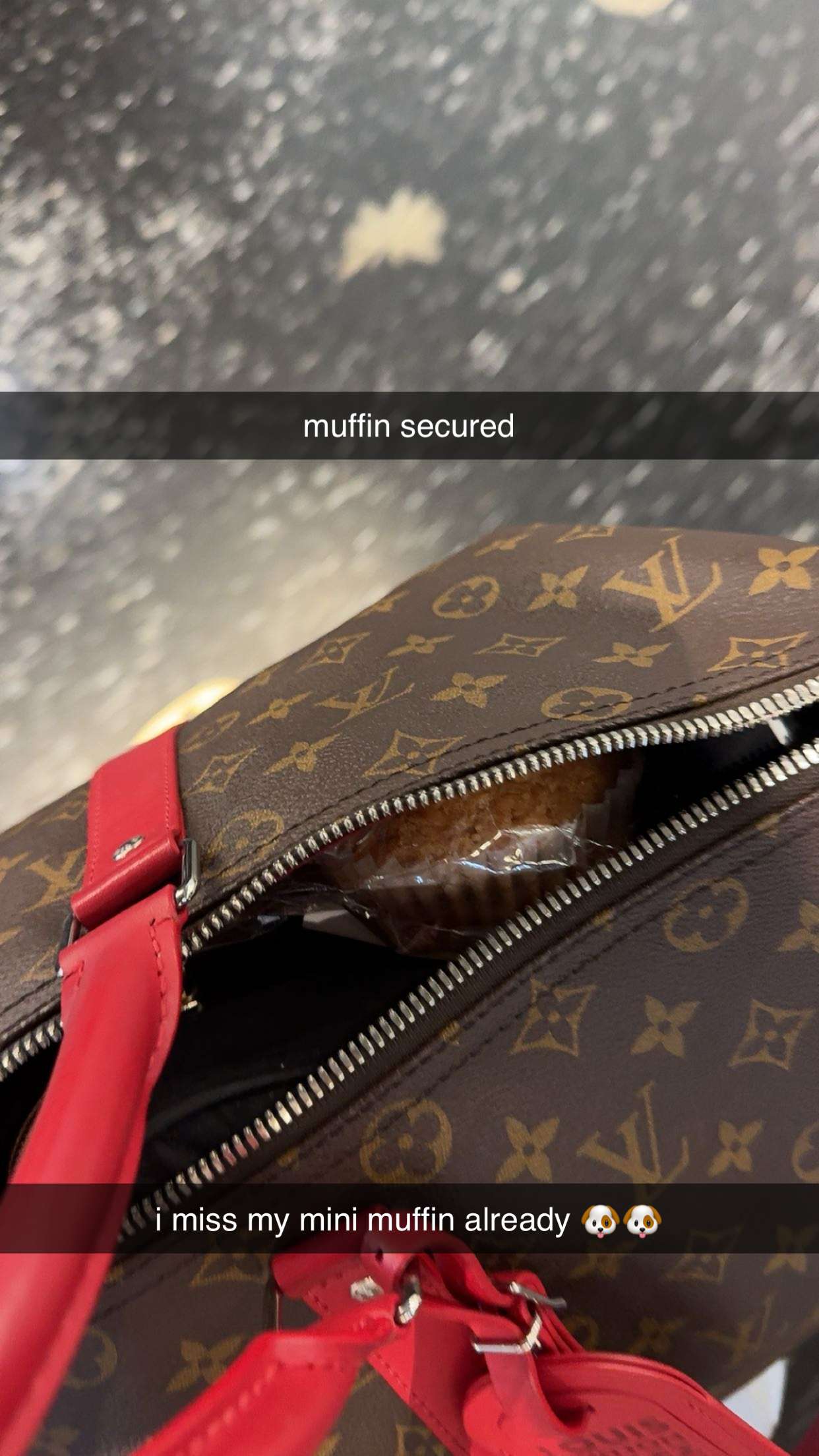 kaygcarlson snapchat image archive image