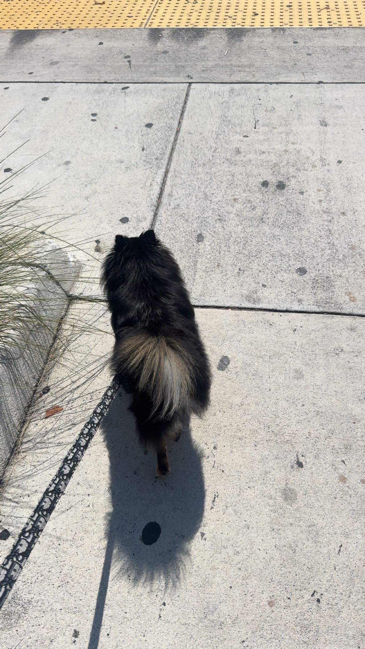 kaygcarlson snapchat image archive image