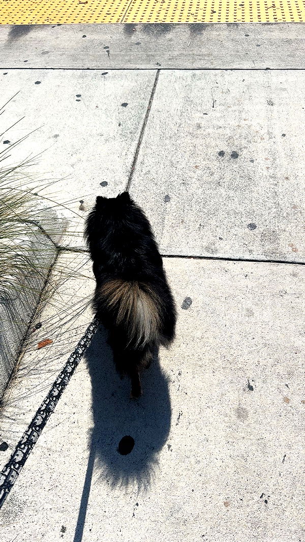 kaygcarlson image ~ Altpins