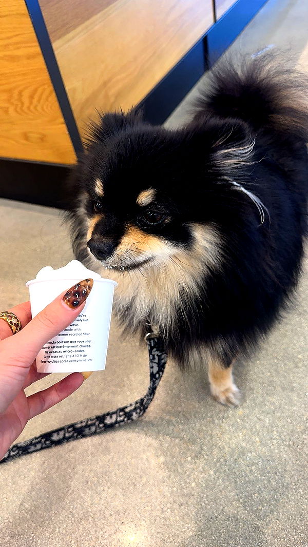 kaygcarlson image ~ Altpins