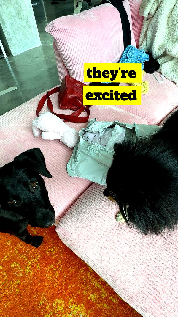 kaygcarlson image ~ Altpins