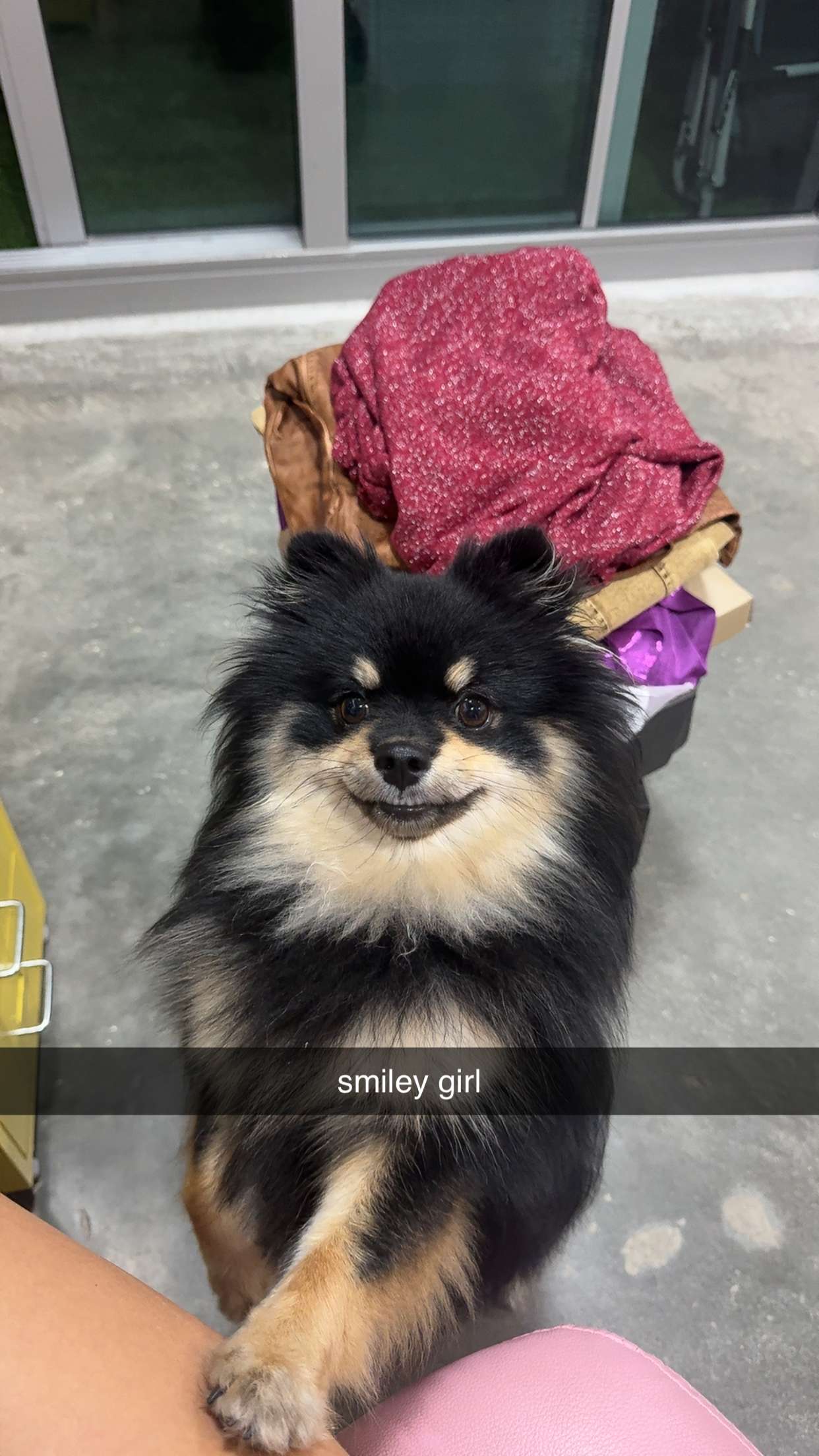 kaygcarlson snapchat image archive image