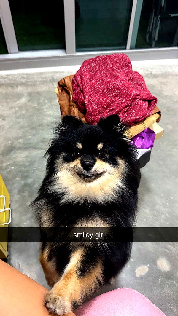 kaygcarlson image ~ Altpins