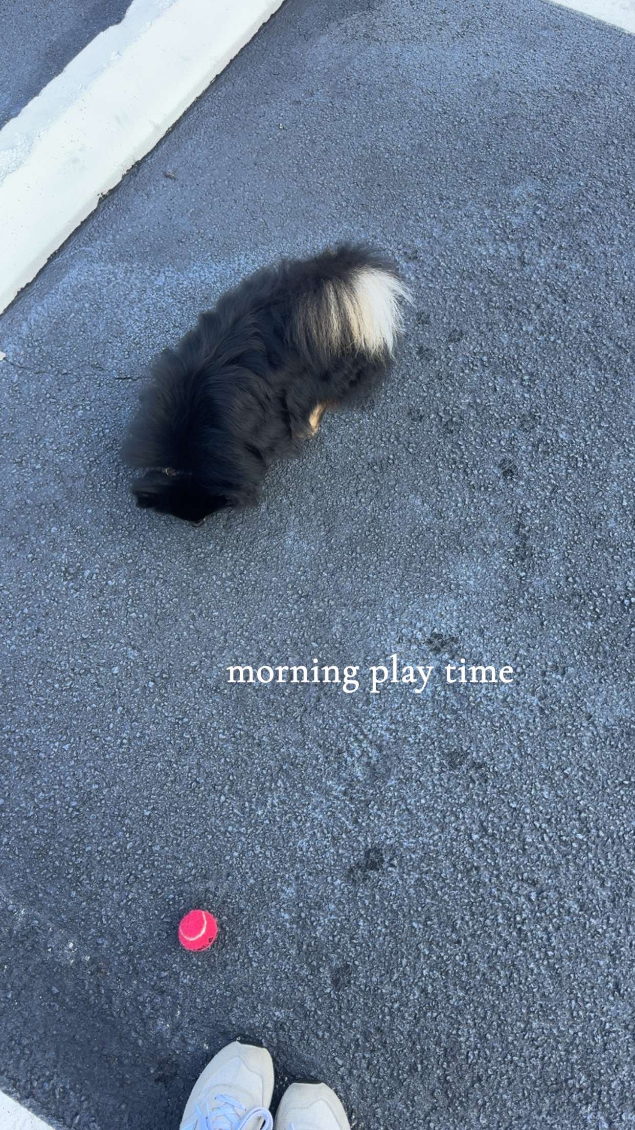 kaygcarlson snapchat image archive image