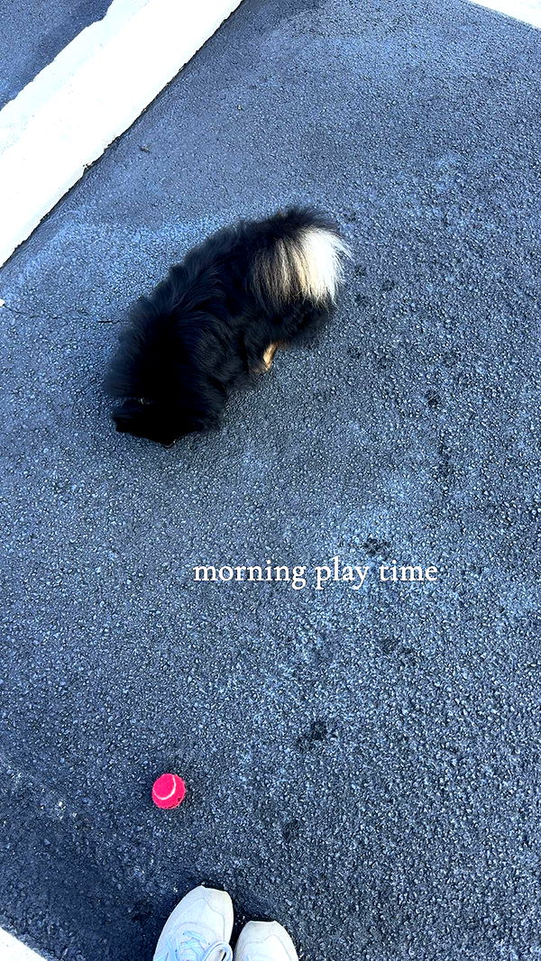 kaygcarlson image ~ Altpins