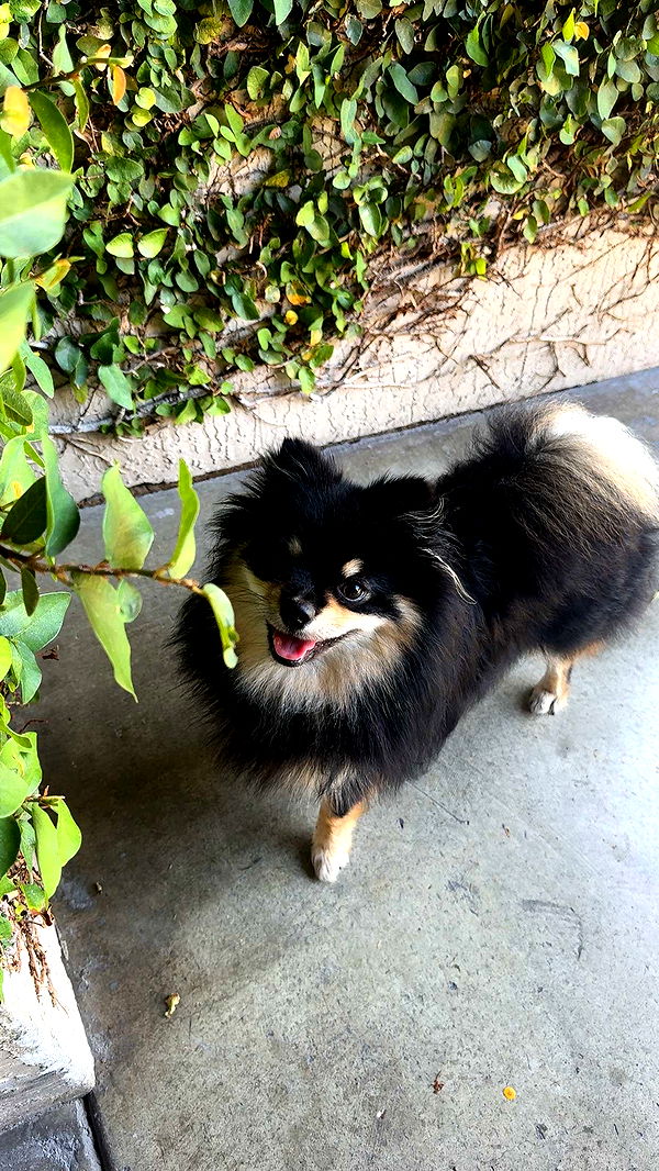 kaygcarlson image ~ Altpins