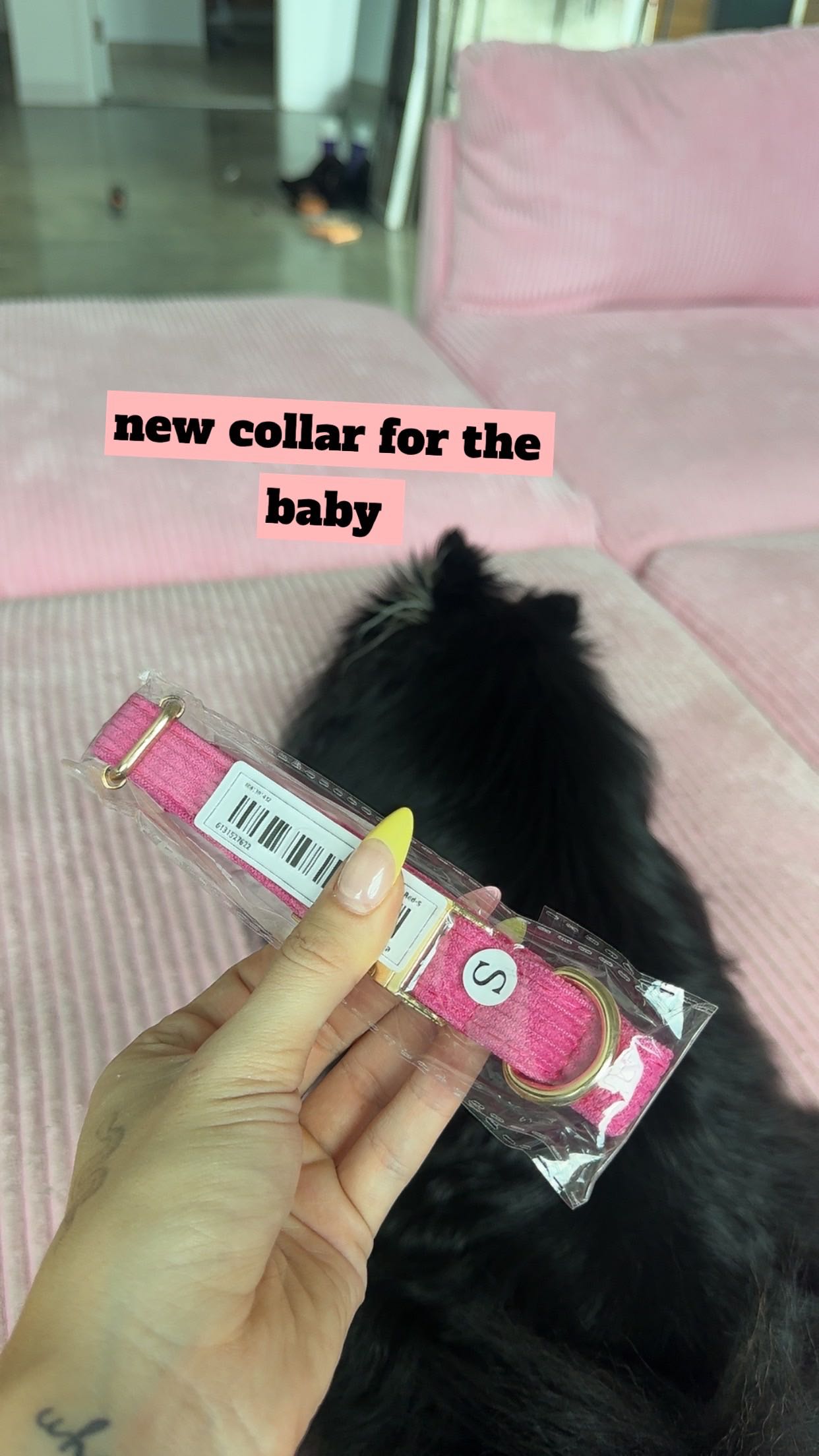 kaygcarlson snapchat image archive image