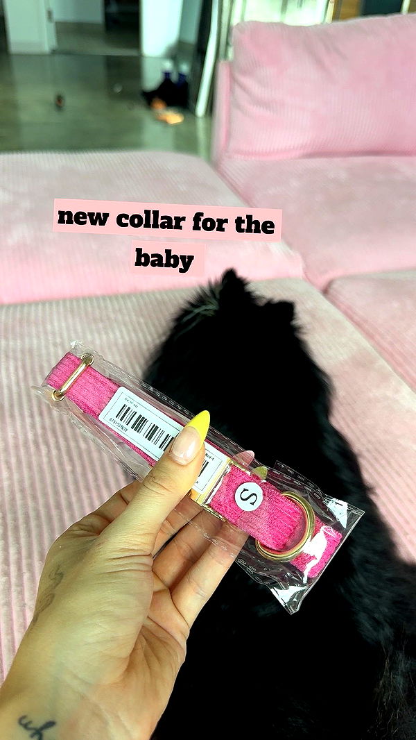 kaygcarlson image ~ Altpins