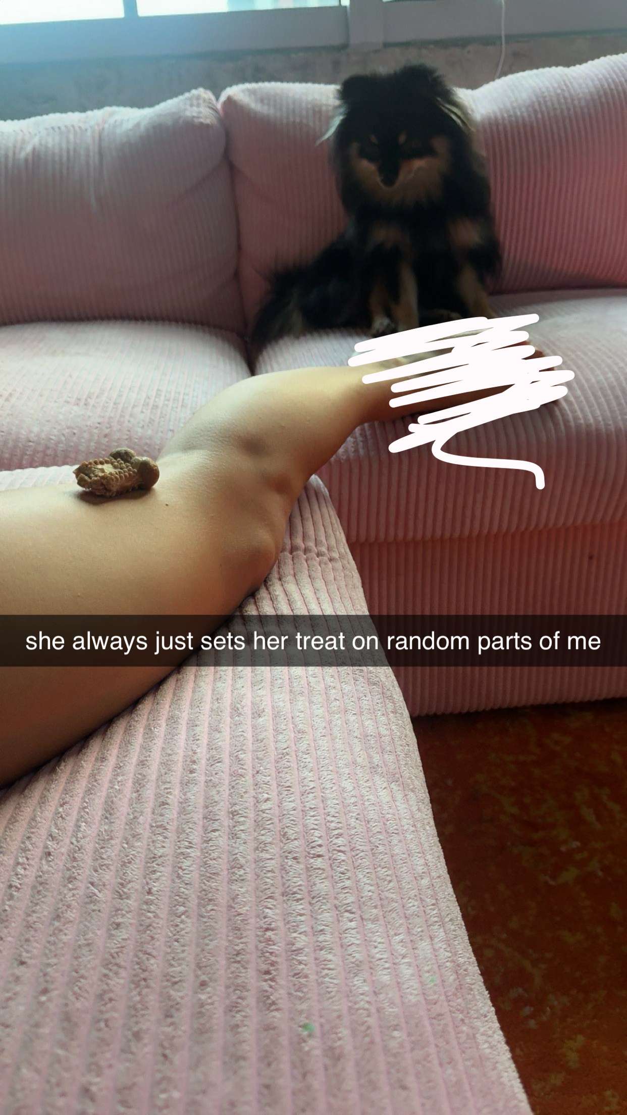 kaygcarlson snapchat image archive image