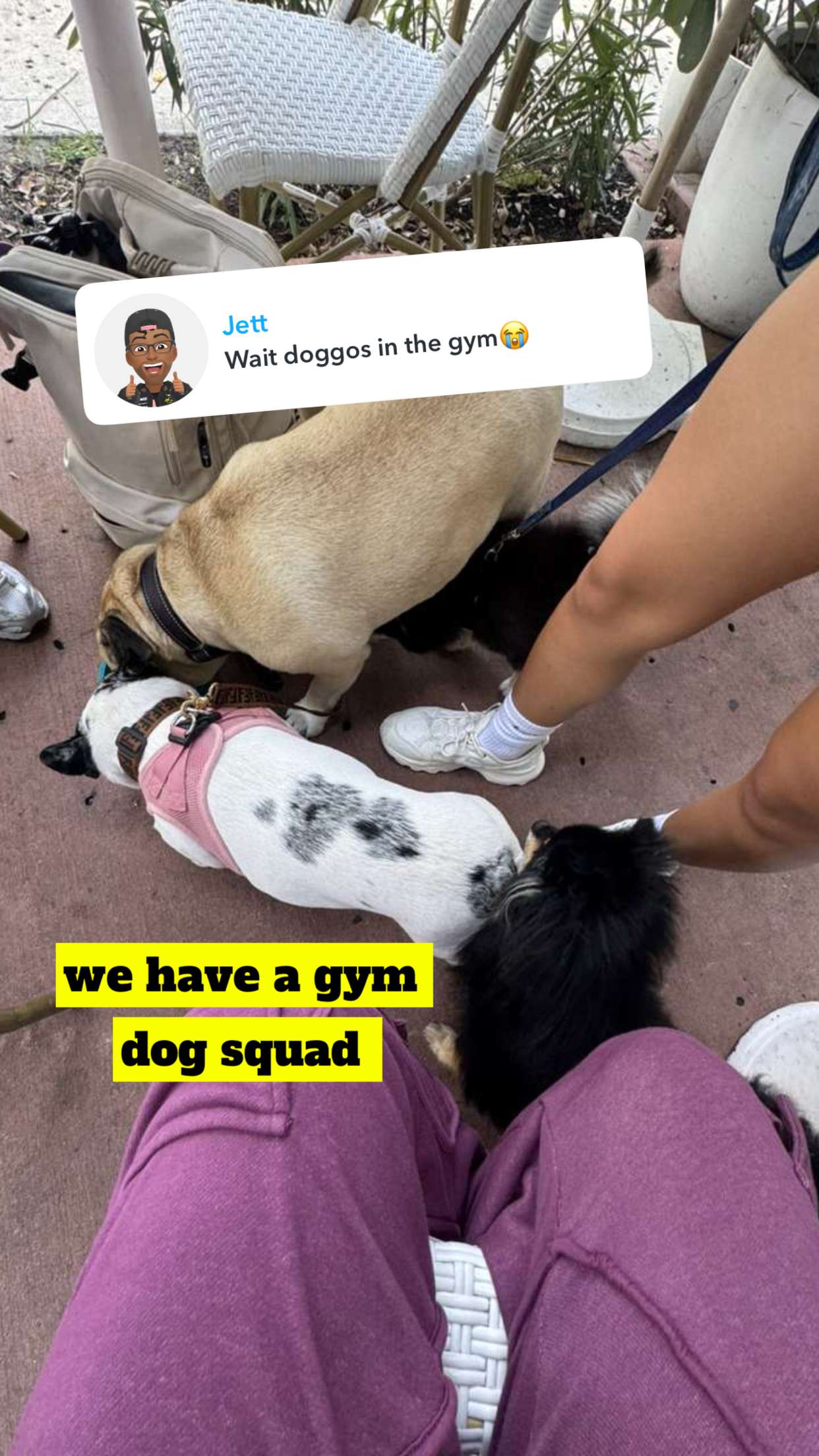 kaygcarlson snapchat image archive image