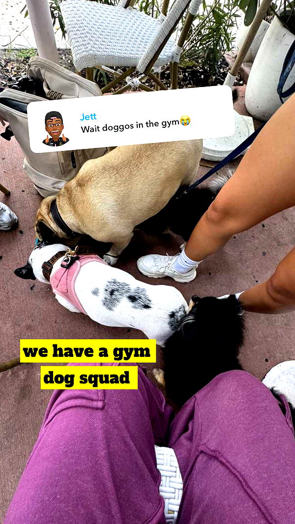 kaygcarlson image ~ Altpins