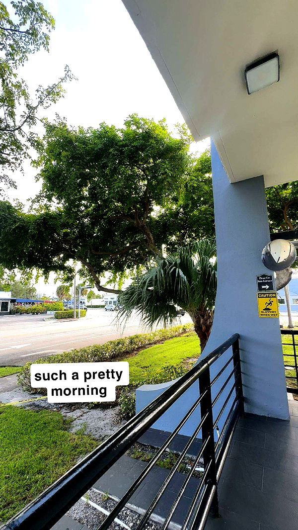 kaygcarlson image ~ Altpins