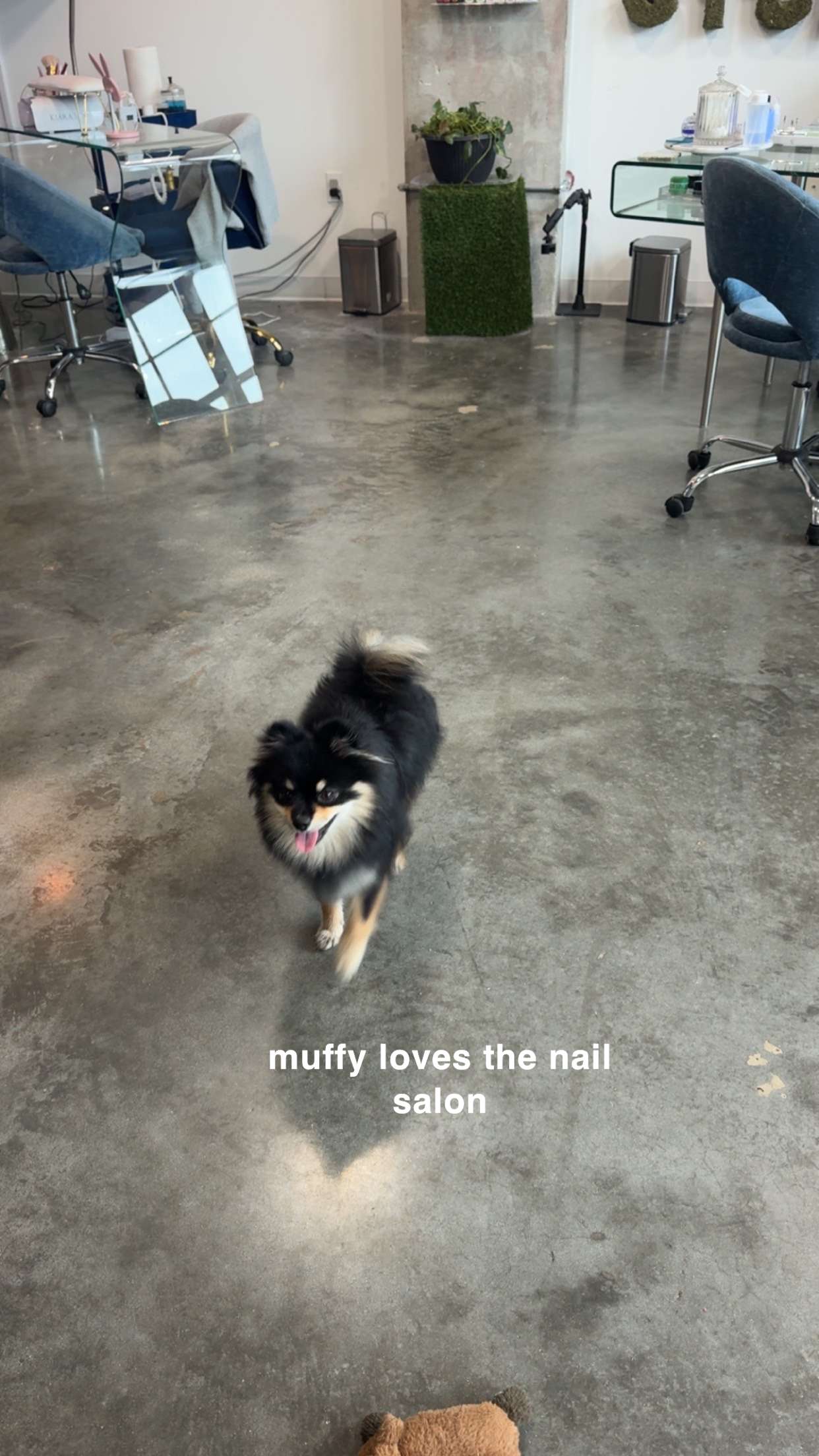 kaygcarlson snapchat image archive image