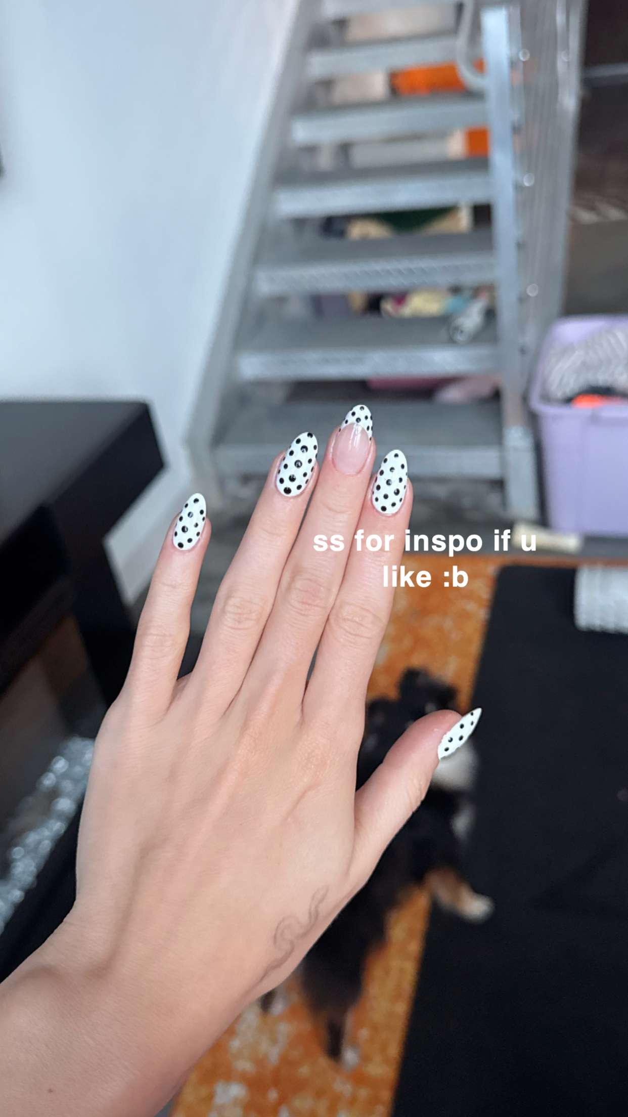 kaygcarlson snapchat image archive image