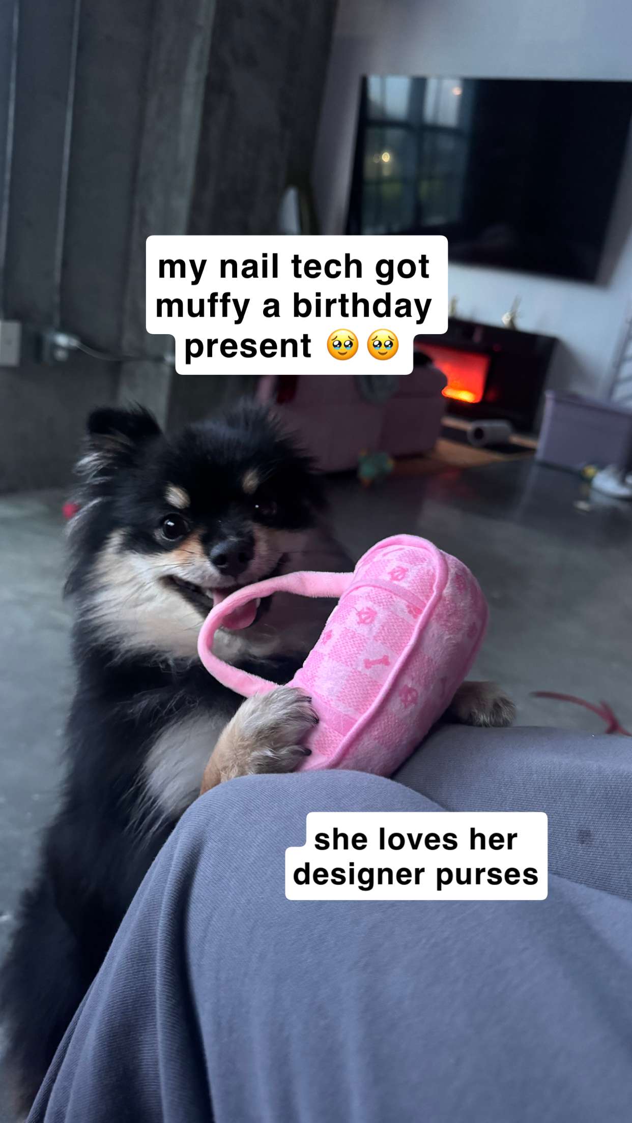 kaygcarlson snapchat image archive image