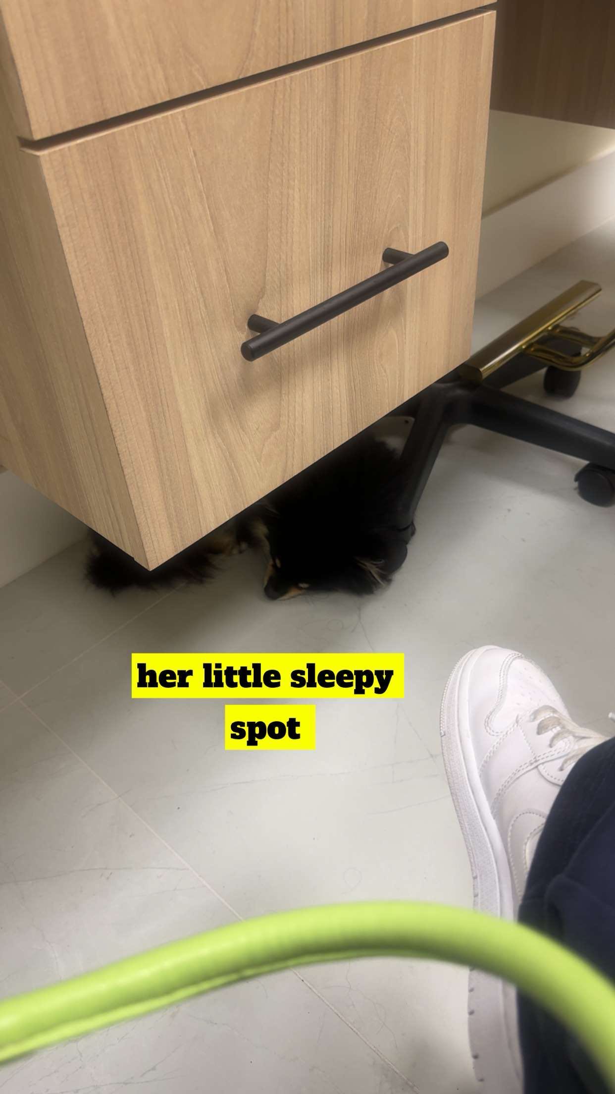 kaygcarlson snapchat image archive image