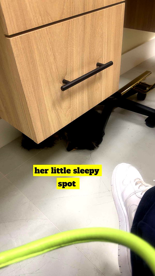 kaygcarlson image ~ Altpins