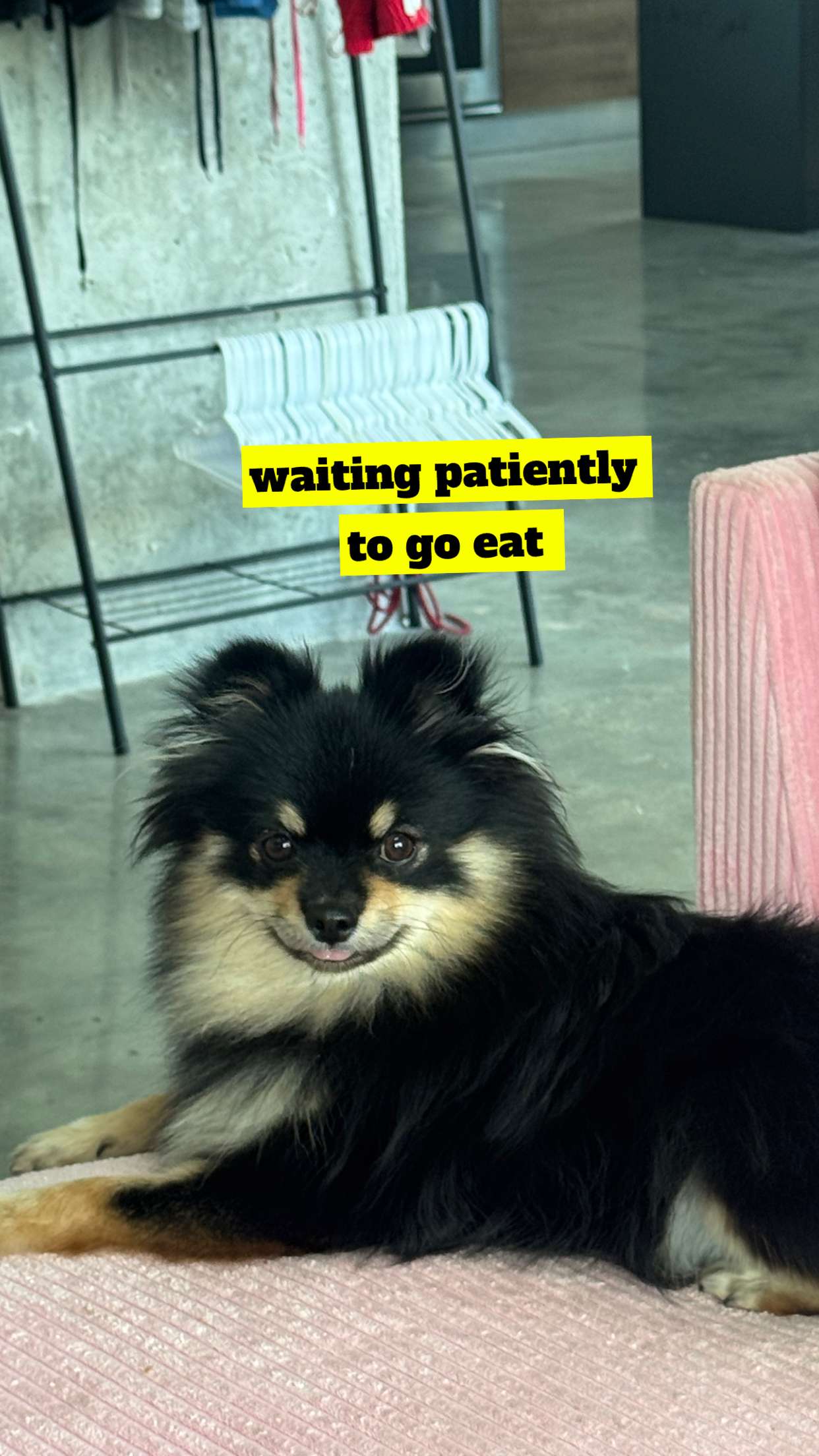 kaygcarlson snapchat image archive image