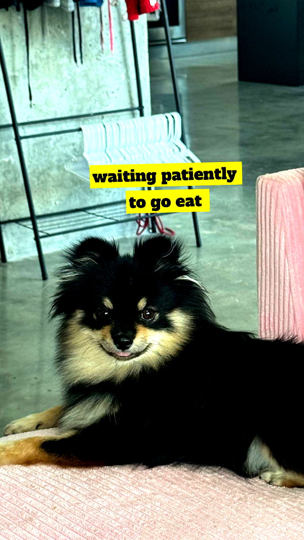 kaygcarlson image ~ Altpins