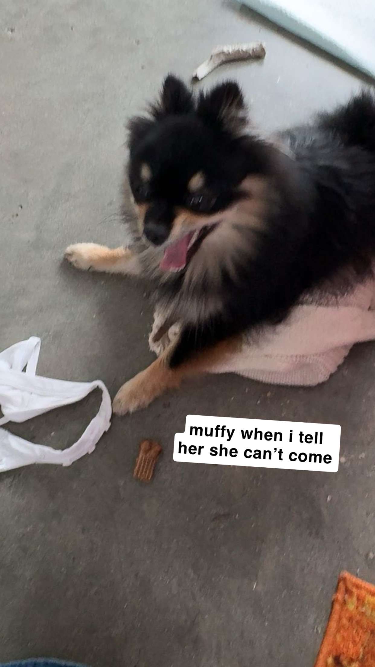 kaygcarlson snapchat image archive image