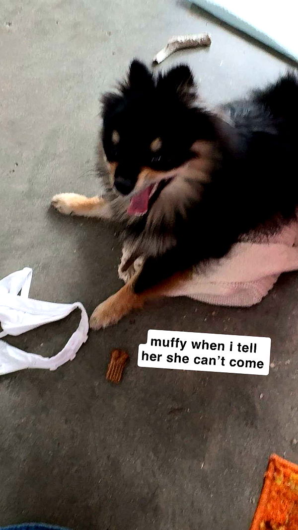 kaygcarlson image ~ Altpins