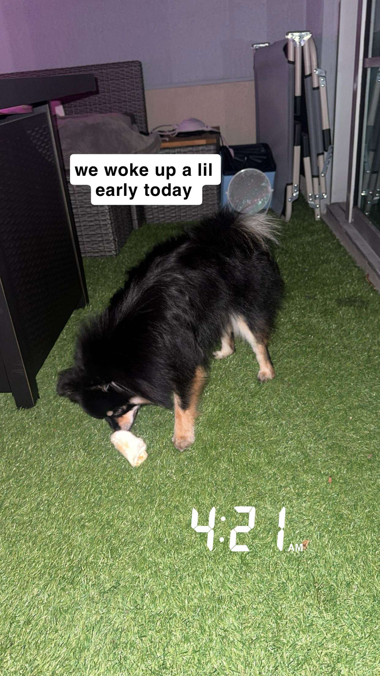 kaygcarlson snapchat image archive image