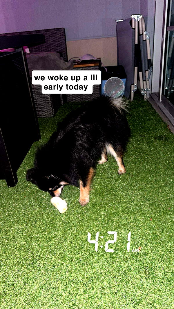 kaygcarlson image ~ Altpins