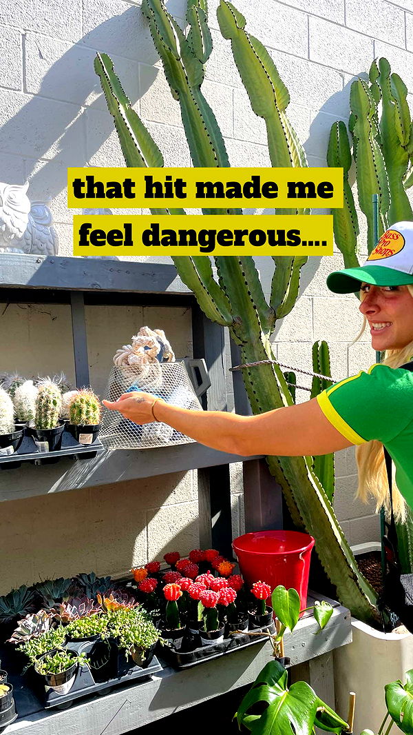 kaygcarlson image ~ Altpins