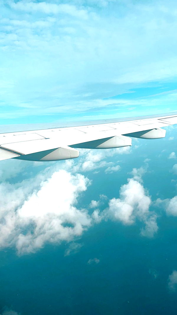 kaygcarlson image ~ Altpins