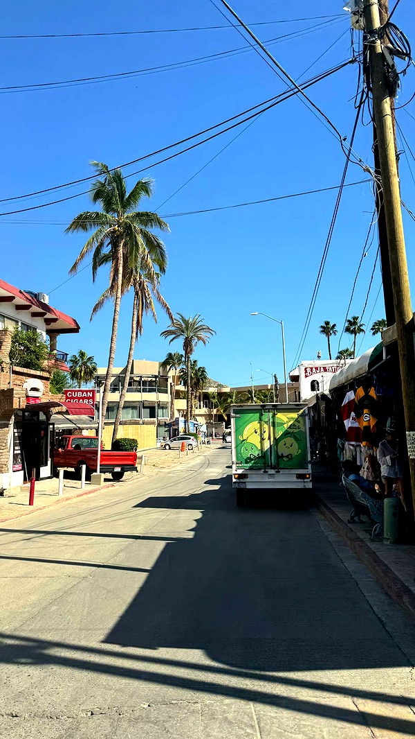 kaygcarlson image ~ Altpins