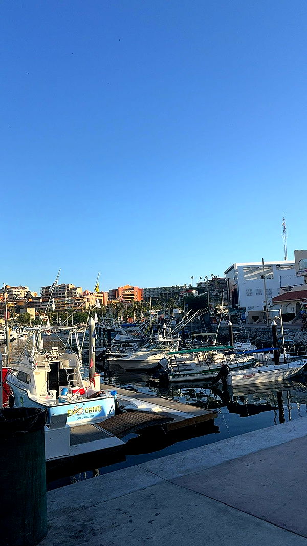 kaygcarlson image ~ Altpins