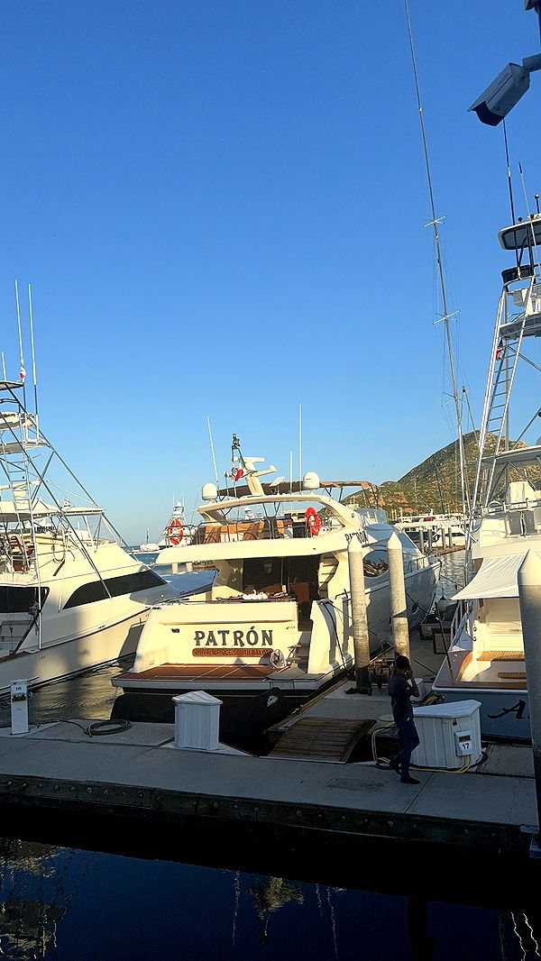 kaygcarlson image ~ Altpins