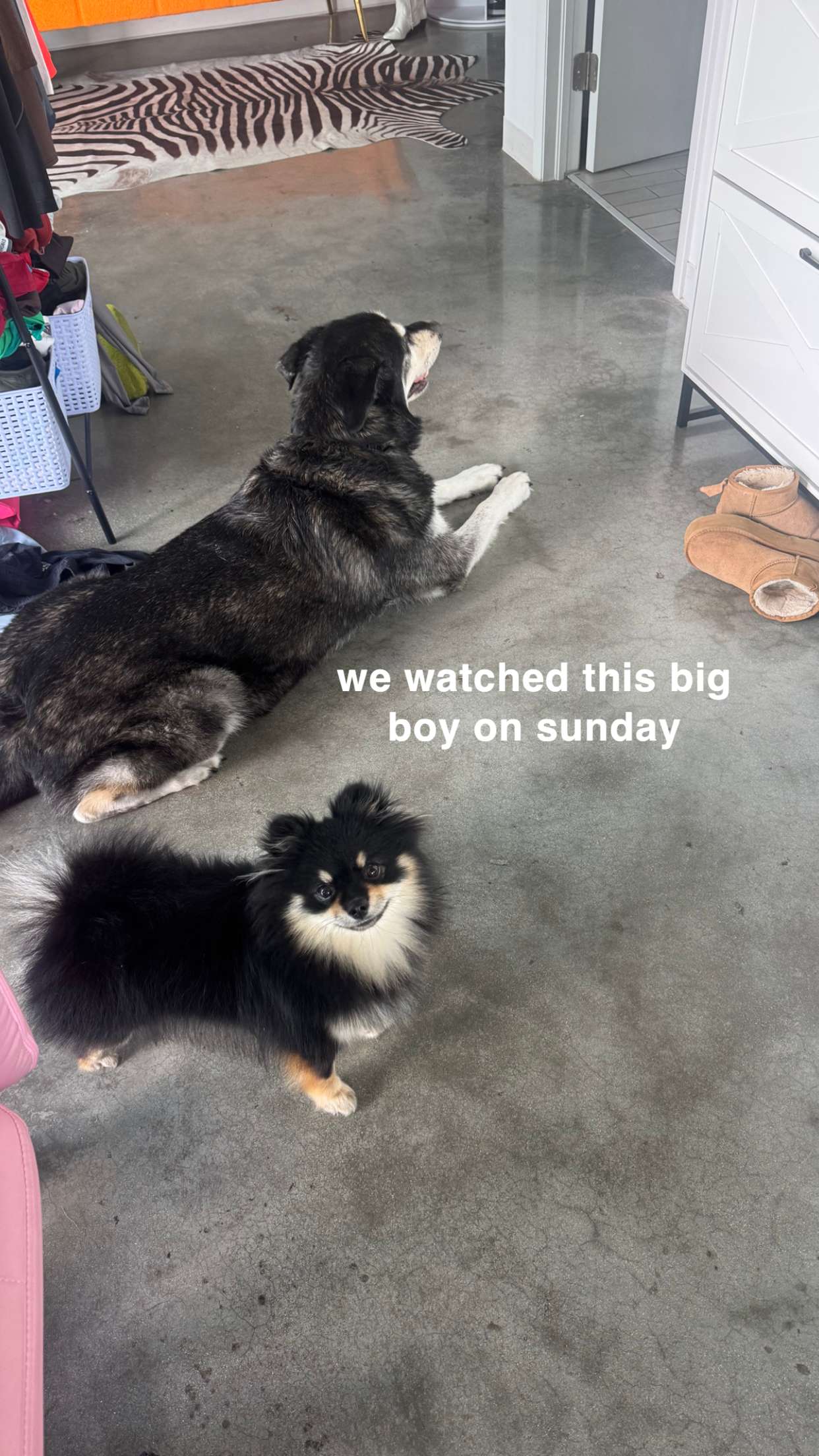 kaygcarlson snapchat image archive image