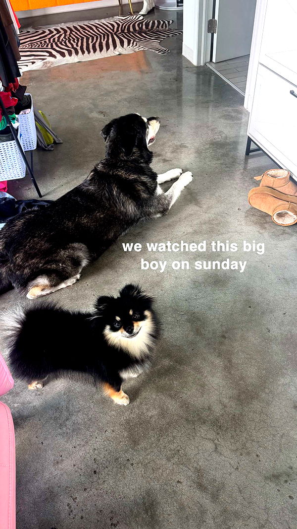 kaygcarlson image ~ Altpins