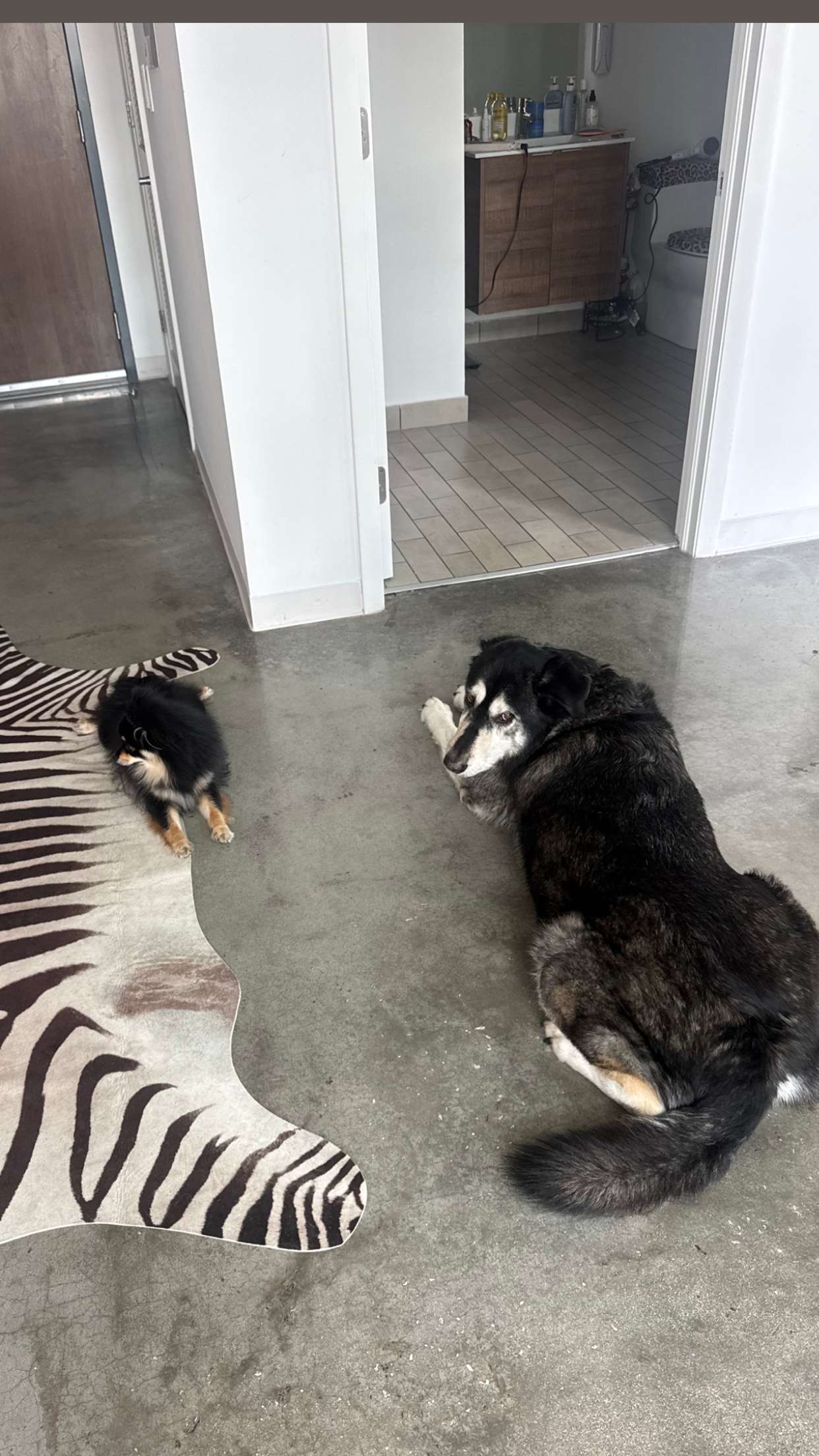 kaygcarlson snapchat image archive image